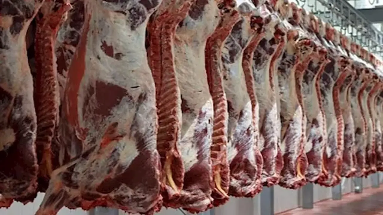 انخفاض أسعار اللحوم 10 جنيهات وفقاً لتصريحات شعبة القصابين بعد موجة ارتفاع